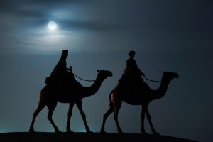 a09cd55be0e5080c5573138431b499