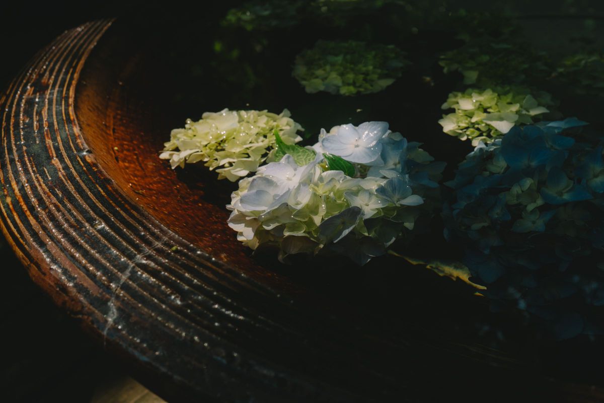 NIKKOR Z 26mm f/2.8で撮影された写真 | 写真検索 | GANREF