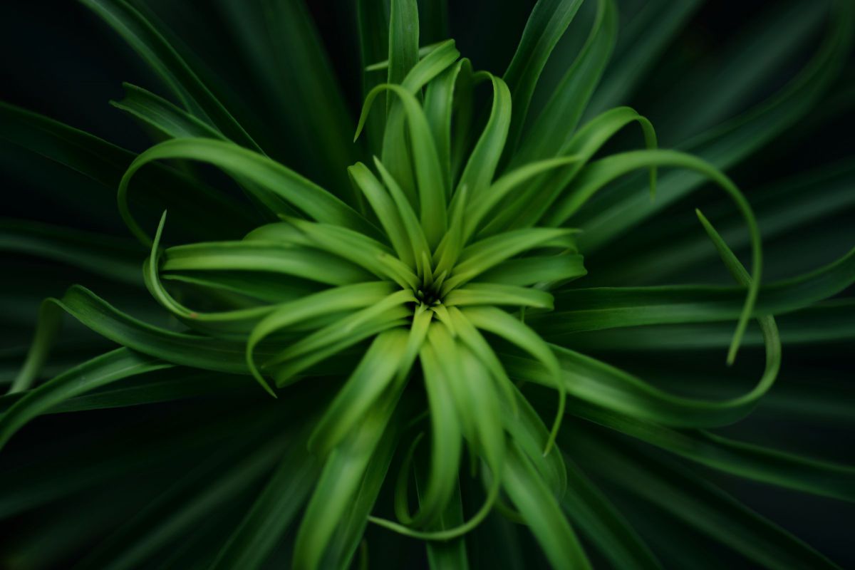 Ai AF Micro-Nikkor 60mm f/2.8Dで撮影された写真 | 写真検索