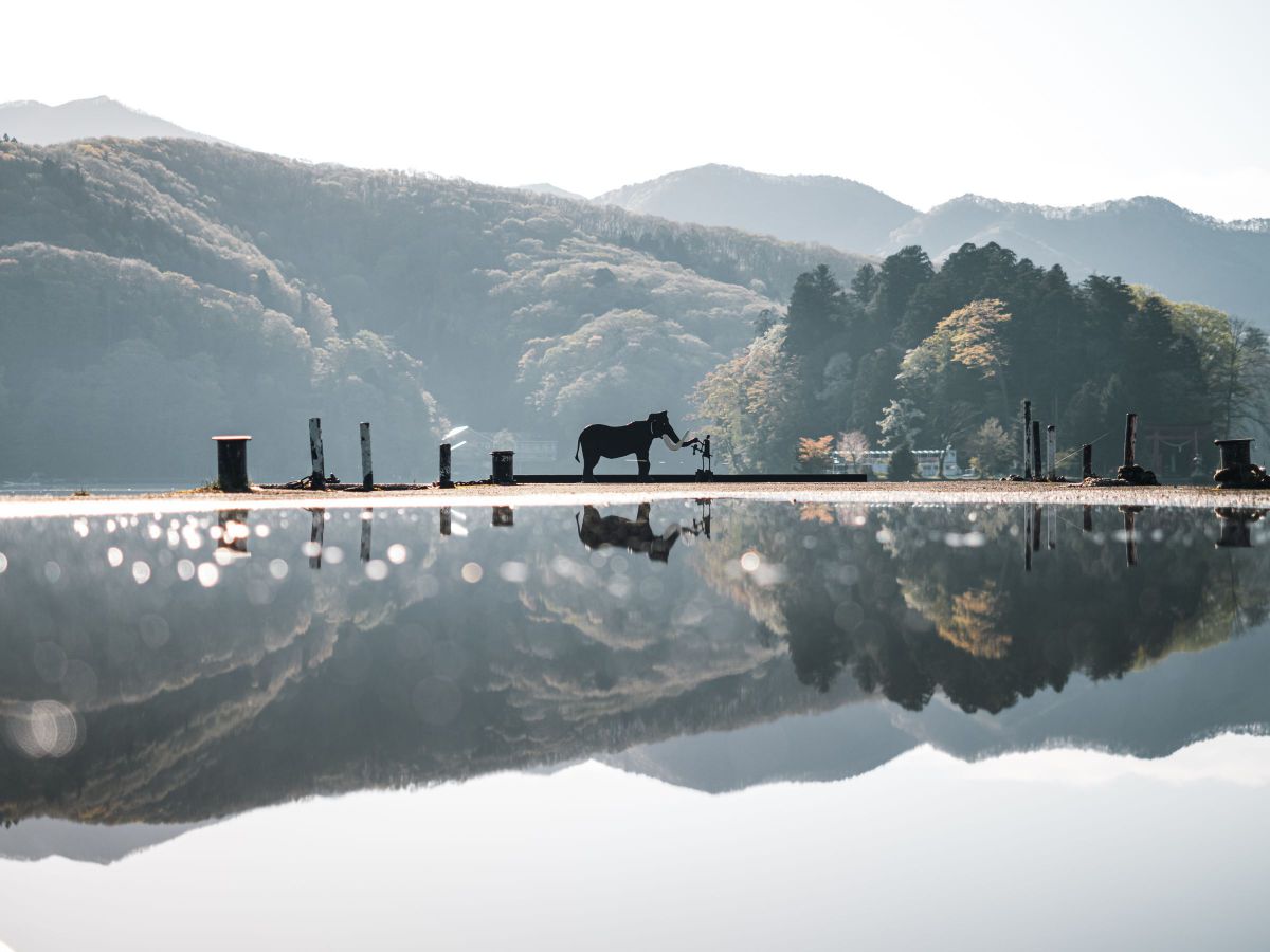 ナウマンゾウさん GANREF