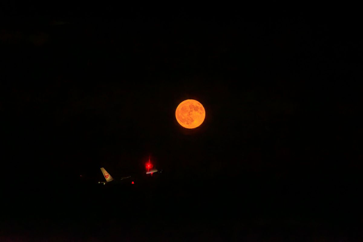 Fly Me to the Moon | GANREF