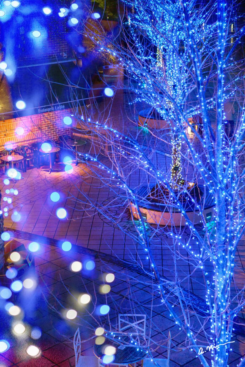 Tree of Blue Light | GANREF