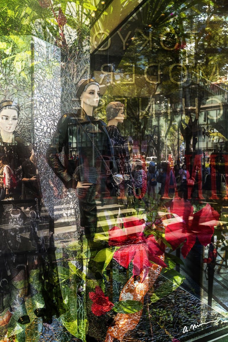 Reflection of the street | GANREF