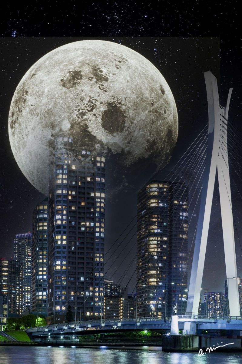 Belong to the Moon | GANREF