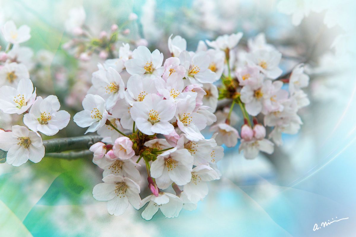 Pastel Spring GANREF