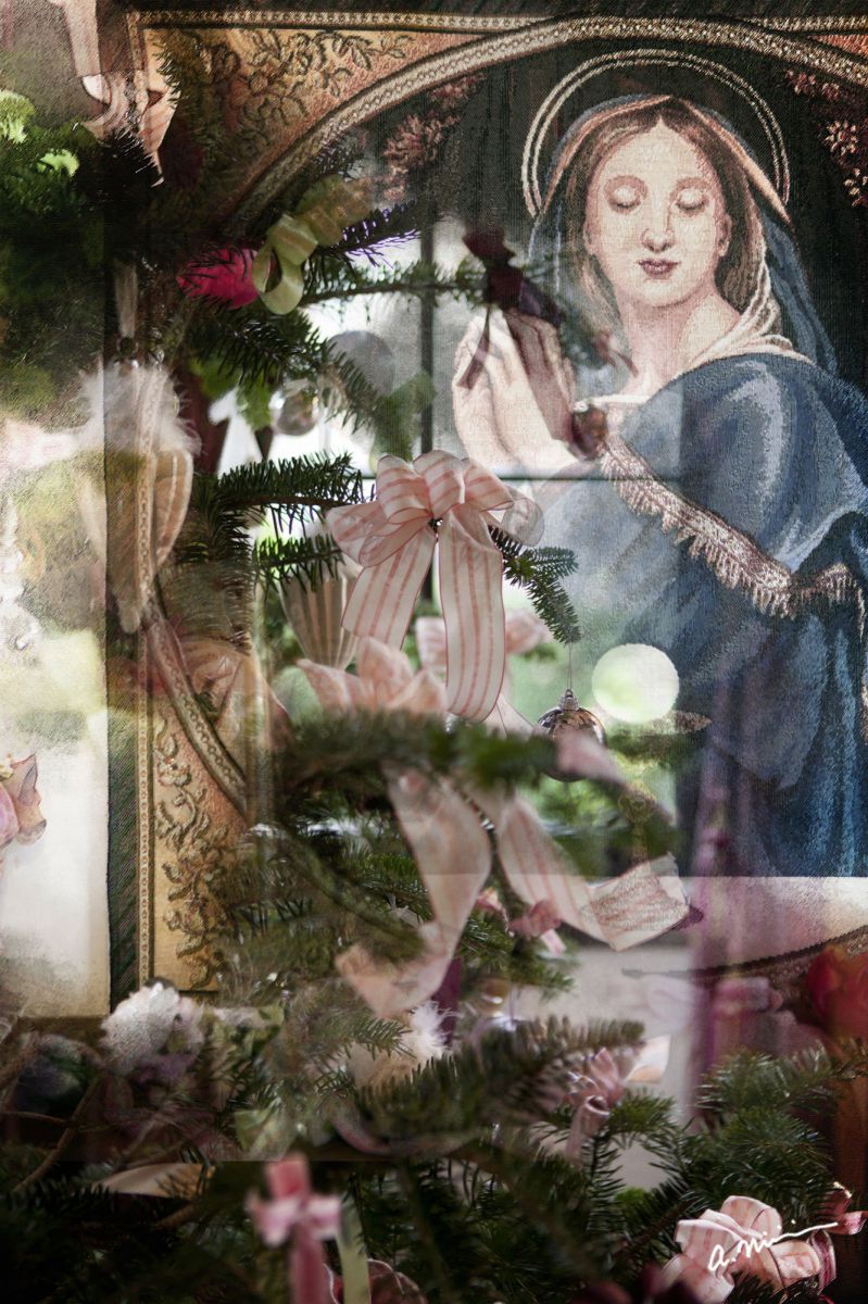 winter solstice | GANREF