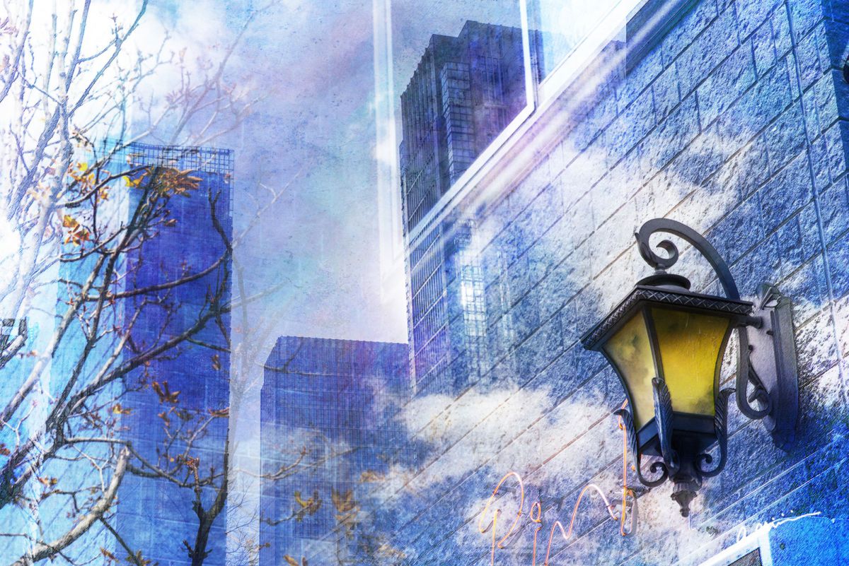 Reflection of the cold morning | GANREF