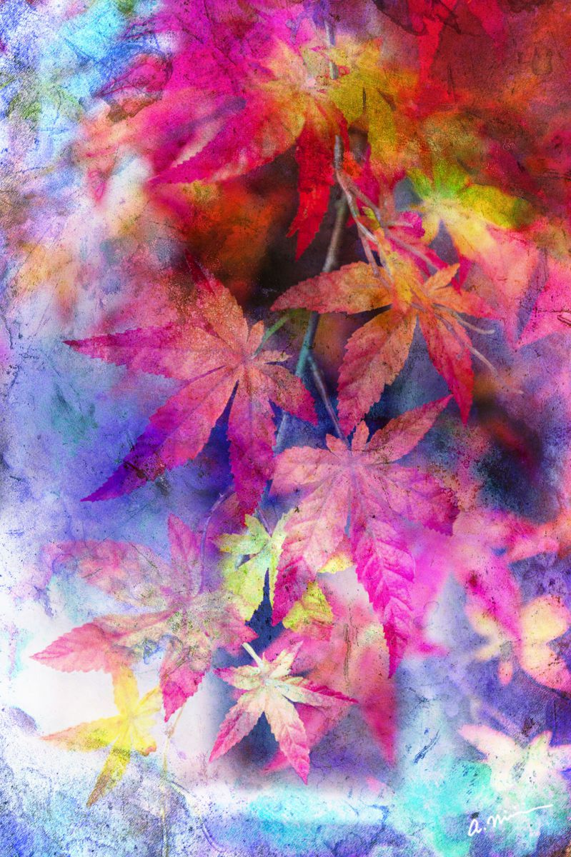 Colors of Autumn | GANREF
