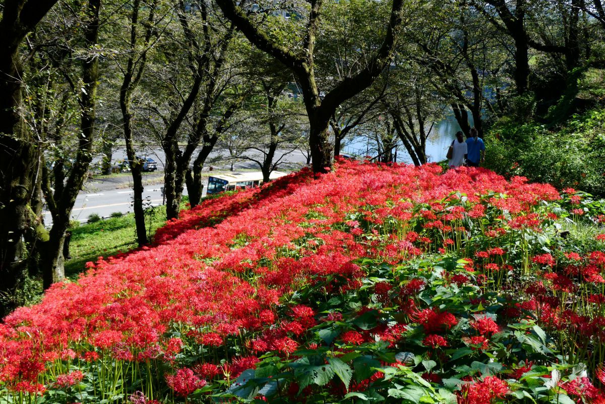 ご参考写真 PT001「3.5インチ液晶デジタルフォトフレーム」| DreamMaker