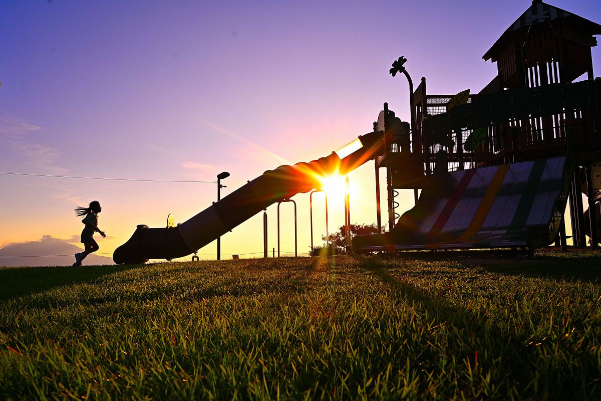 写真・グラフィック Arsenic Nikon AF 300mmF4 ED × Nikon D2H 【街中で撮影した野鳥の写真
