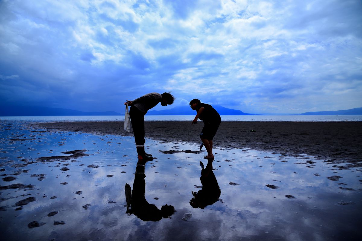 潮干狩り 自然 風景 海 Ganref
