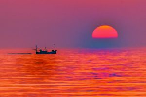 赤い海 | GANREF 旭日静波 赤い太陽と海の風景掛軸 0121o81