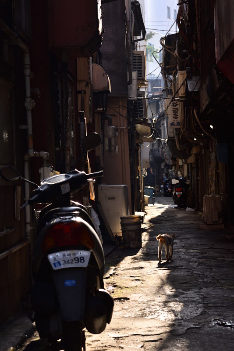 路地裏の猫 街並み 建物 街並み Ganref