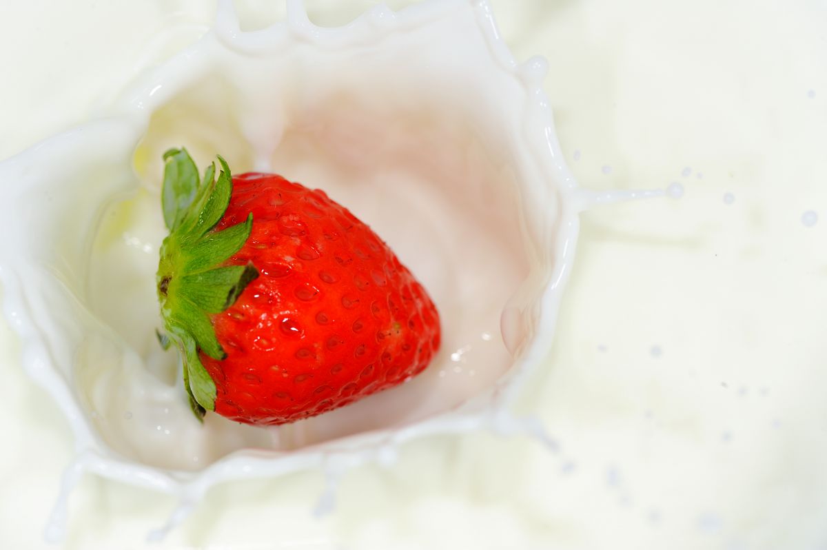 苺ミルク De Splash 食べ物 飲み物 フルーツ 果物 Ganref