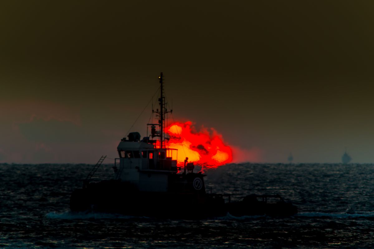 Ai Nikkor ED 400mm F3.5S（IF）で撮影された写真 | 写真検索 | GANREF