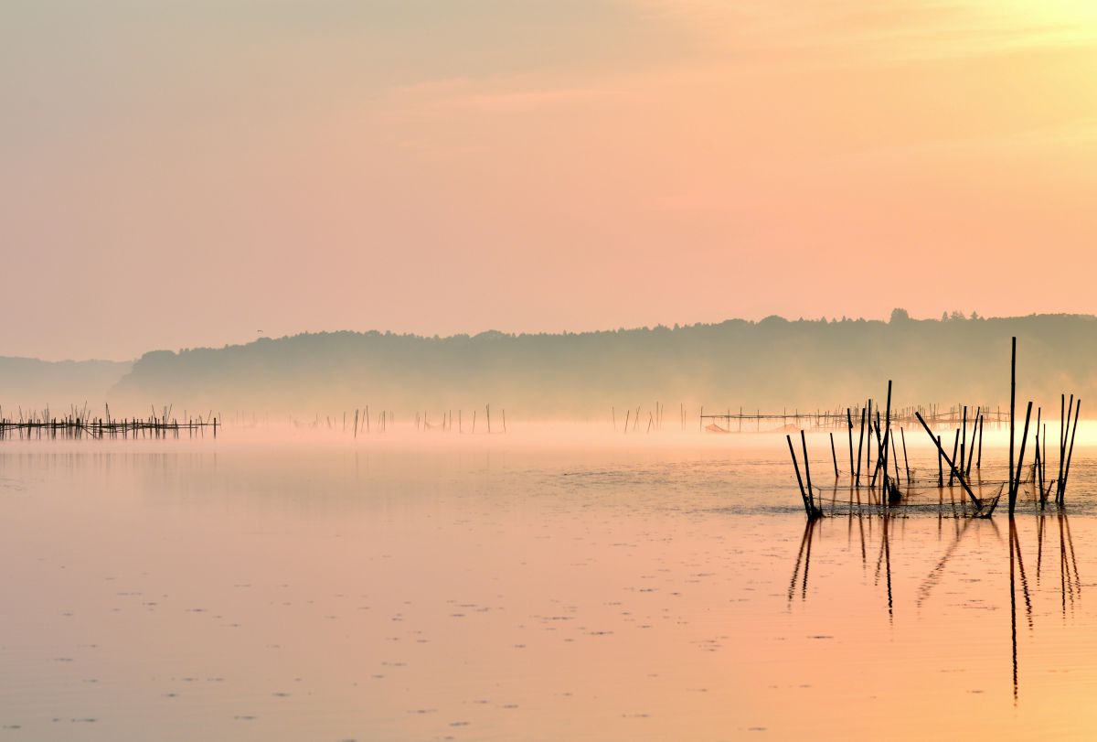 朝靄に煙る 自然 風景 湖沼 Ganref