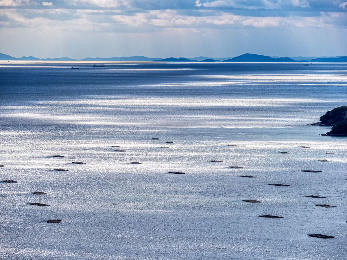 瀬戸の海・潮目の輝き | GANREF