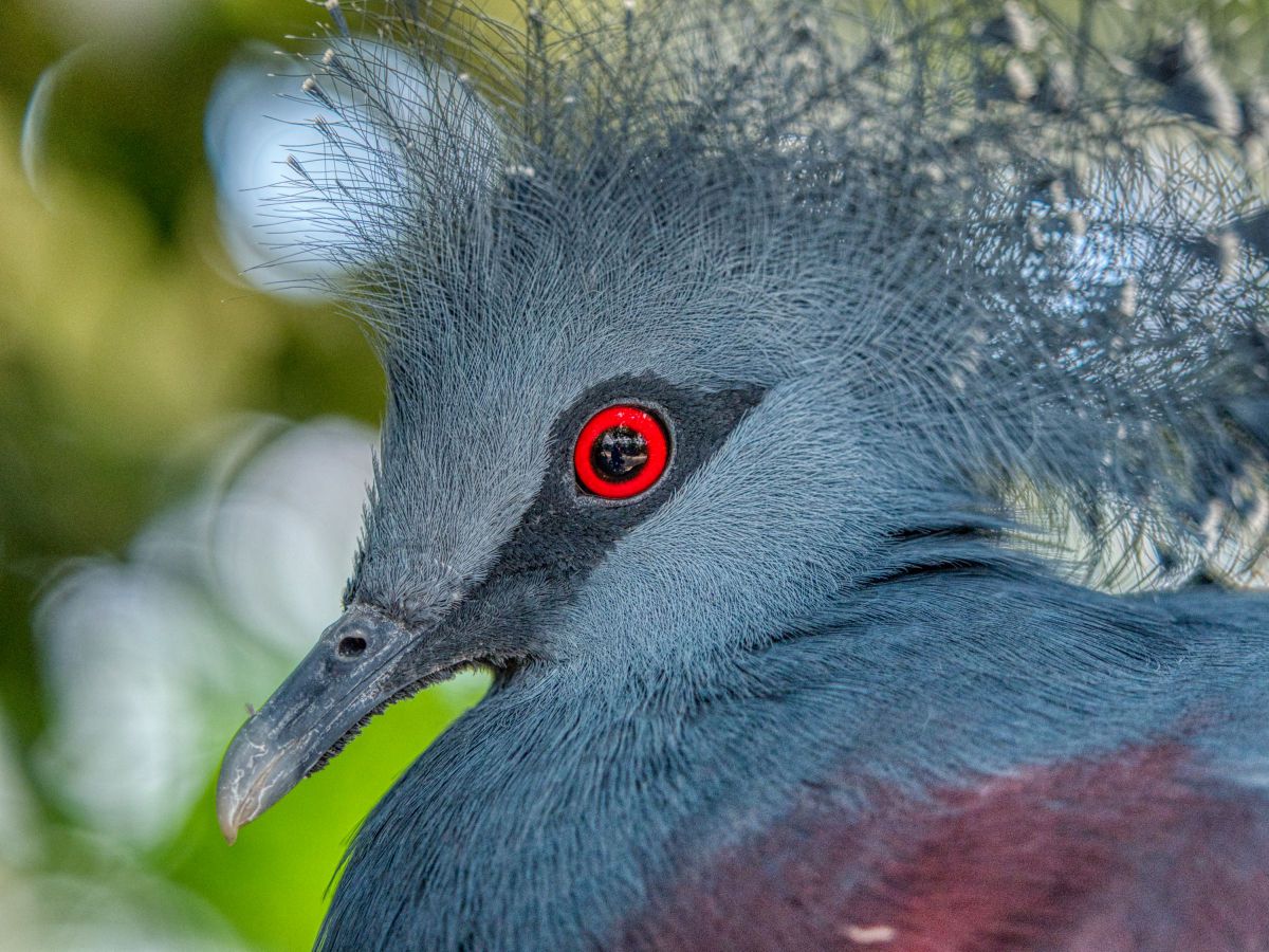 M.ZUIKO DIGITAL ED 40-150mm F2.8 PROで撮影された写真 | 写真検索 