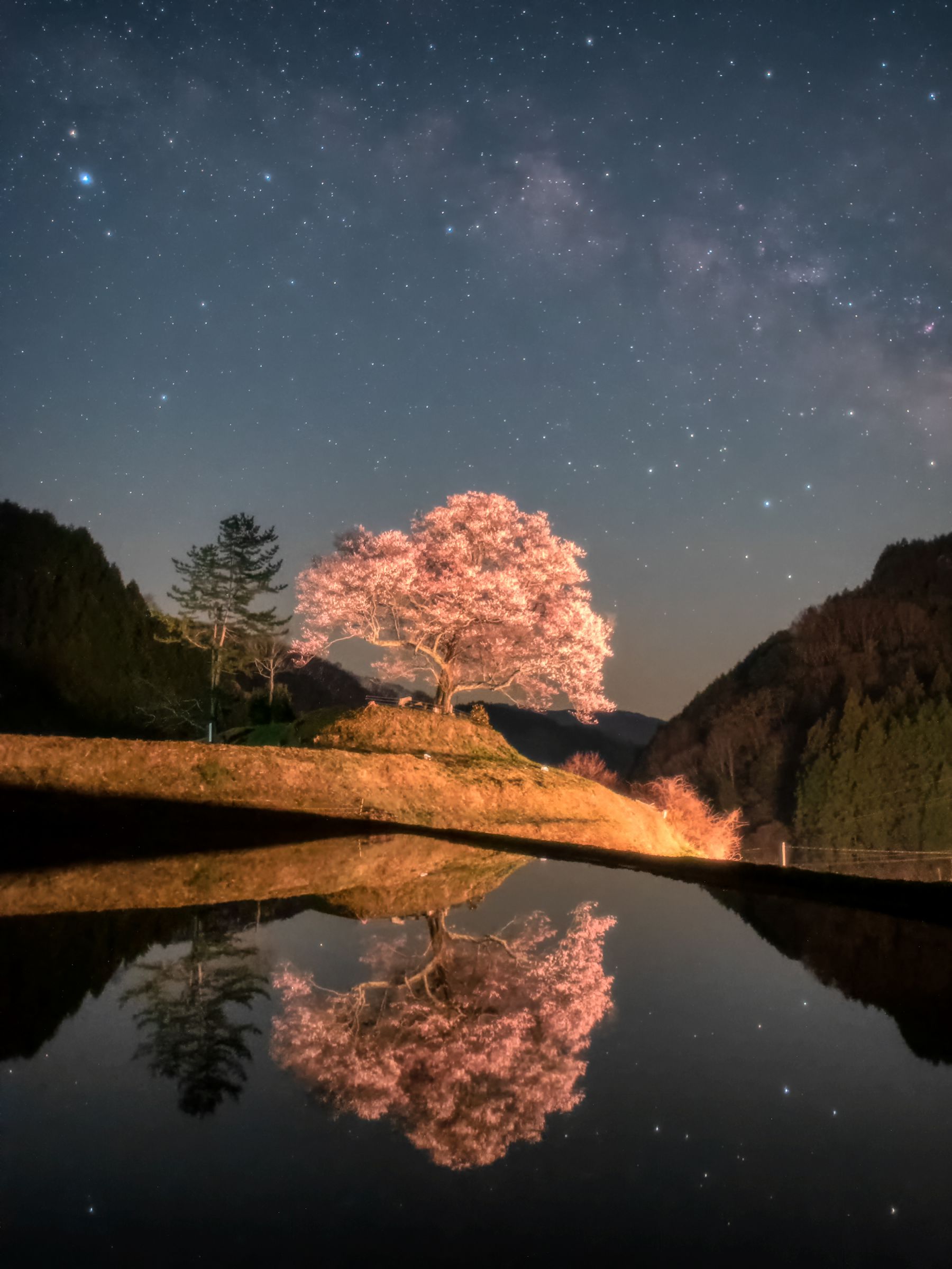 no.0335 天の川とタイガーアイ　流れ星のソレイユ　一点物 桜と夏の天の川 | GANREF