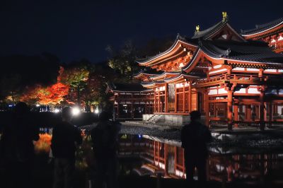 Cyber Shot Dsc Rx100m5で撮影された写真 写真 Ganref
