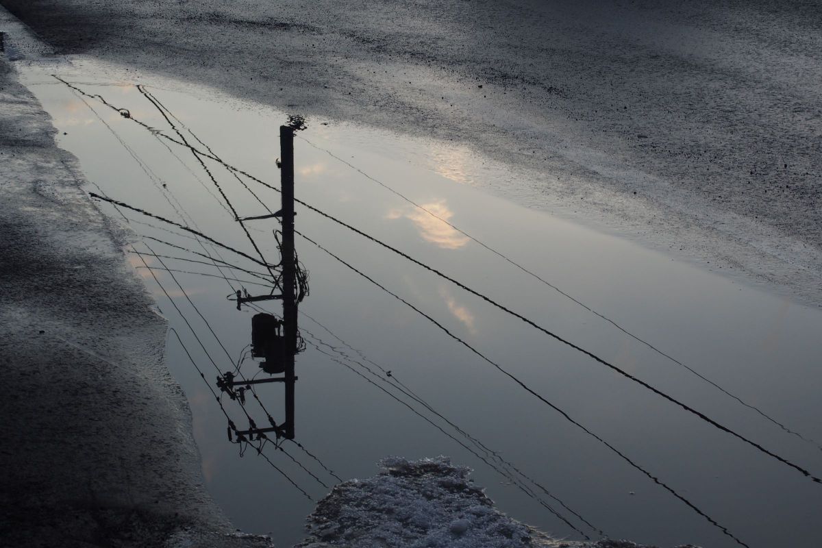 Reflection | GANREF