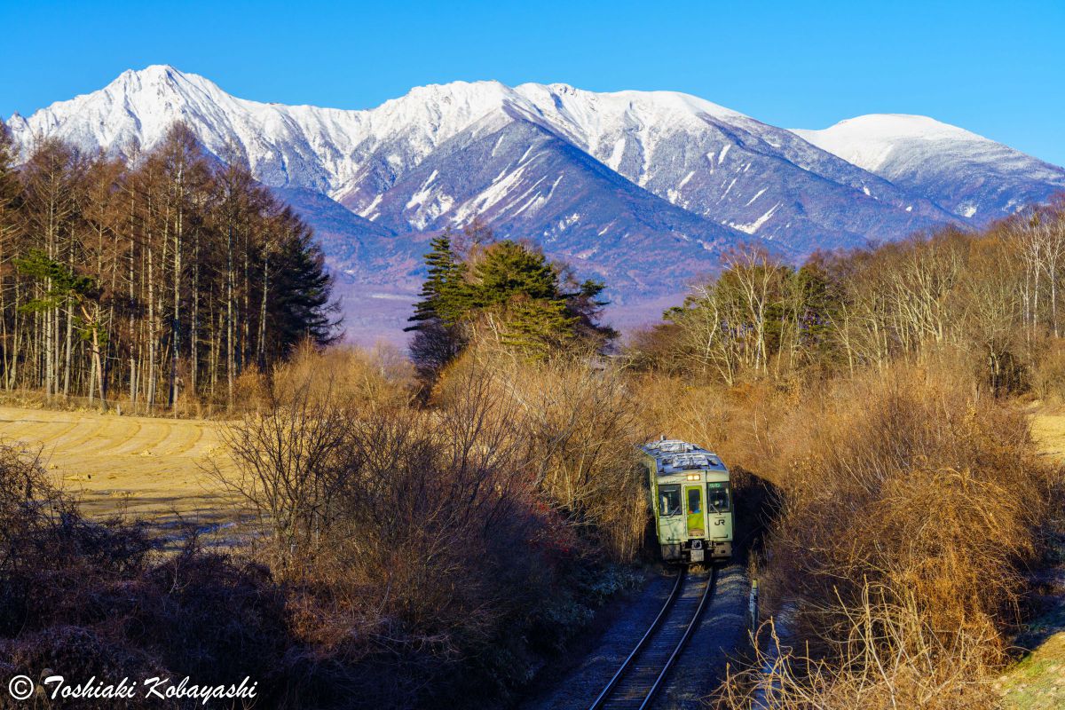 深山の雪 2025.2.15 快晴の雪景色：最上川と葉山の光景 #最上川 #村山葉山