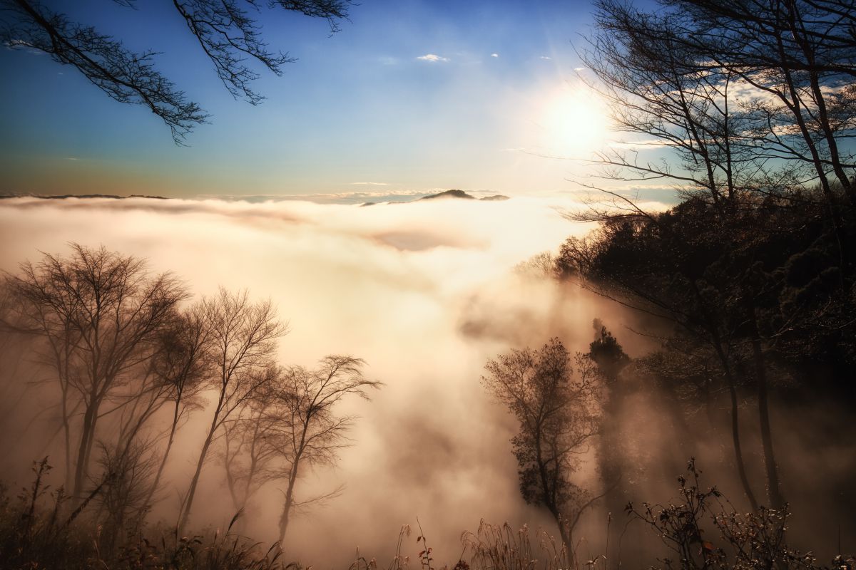 鎌倉山 雲海 14 Ganref 鎌倉山 雲海 14 Ganref