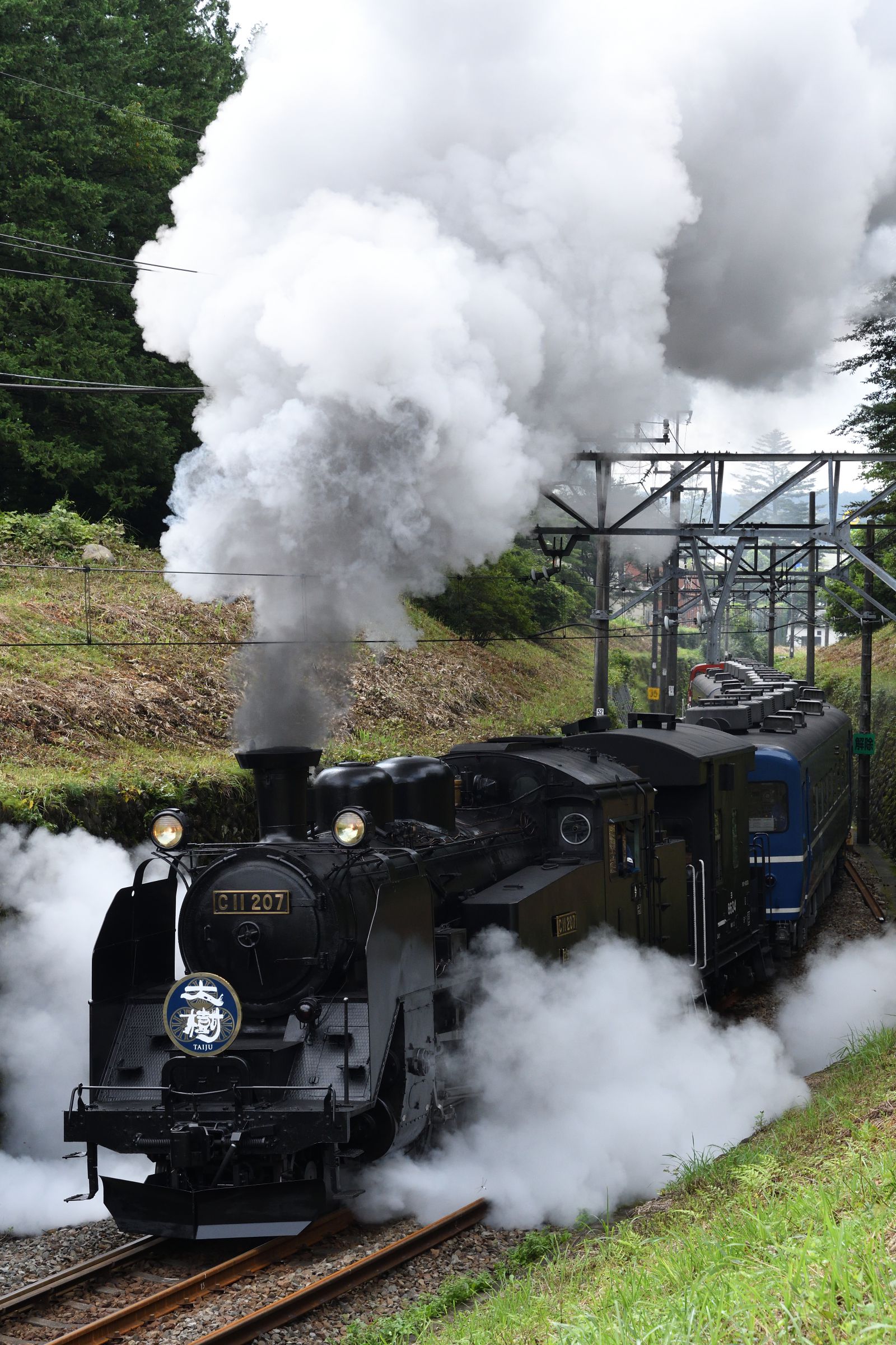 激レア】東武鉄道SL大樹ロゲットカード① 【公式通販】