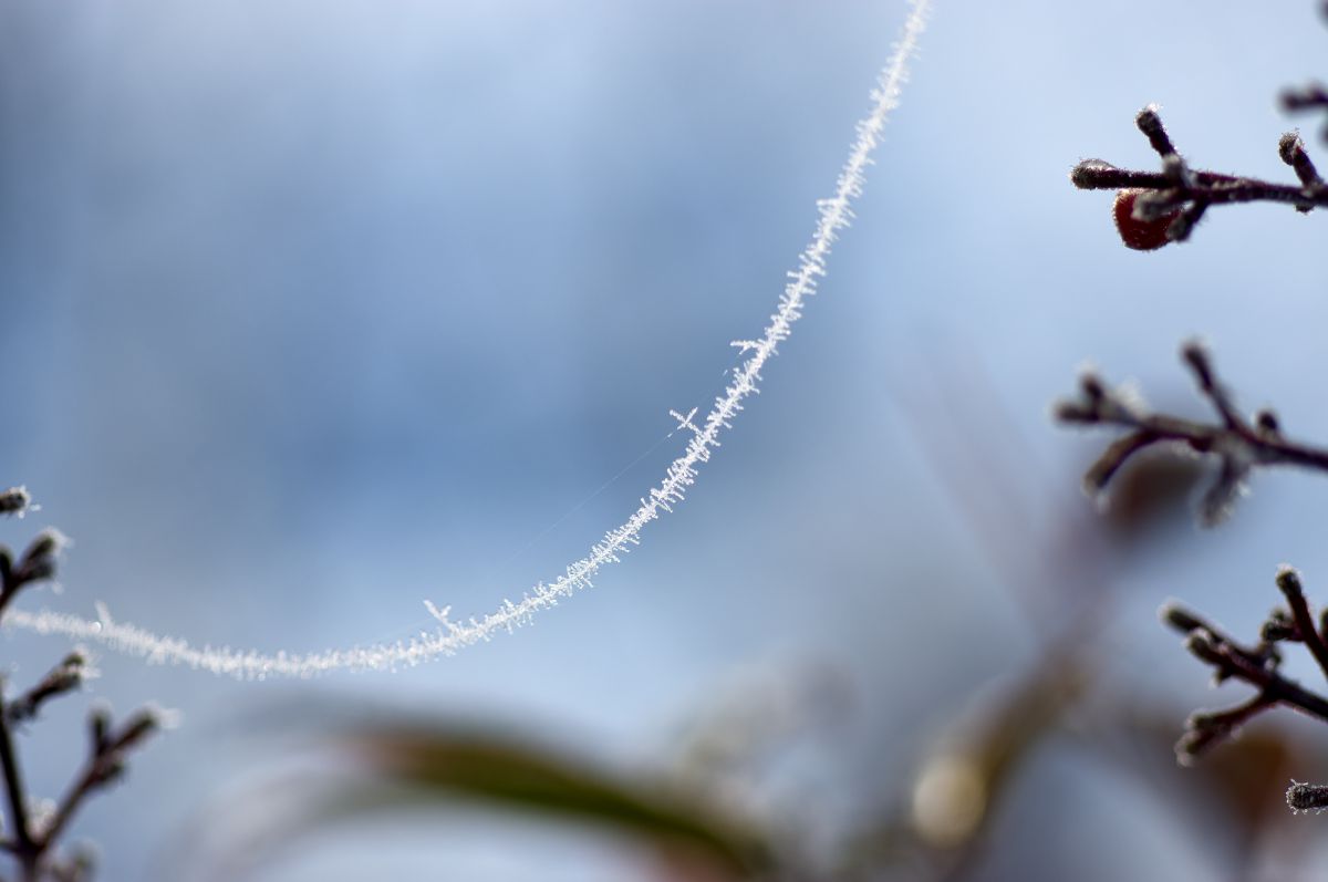 ロザリオ 自然 風景 気象 天候 天気 Ganref