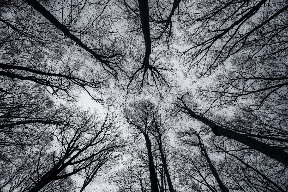 Black & White | GANREF