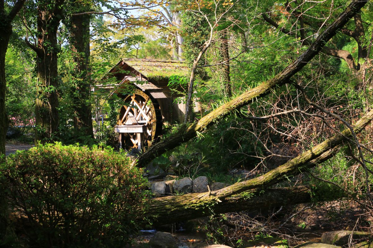 森の水車小屋 街並み 建物 公園 Ganref