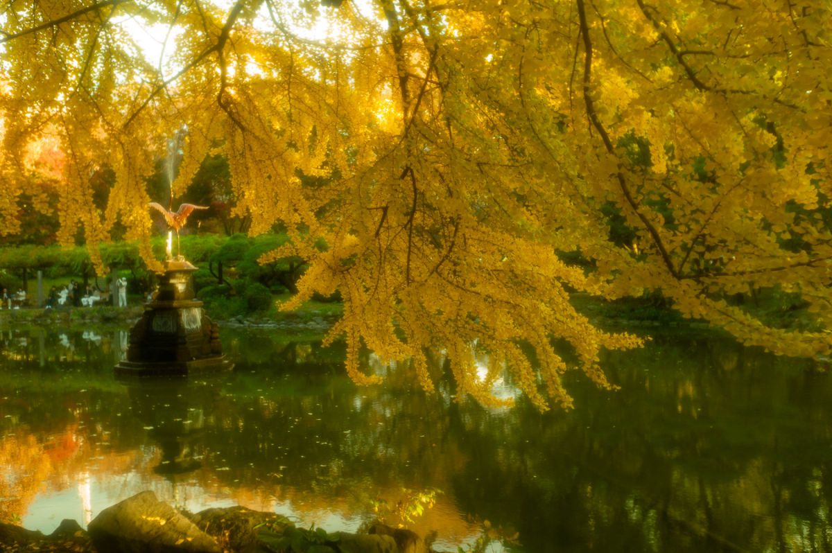 Yellow wave#2 | GANREF