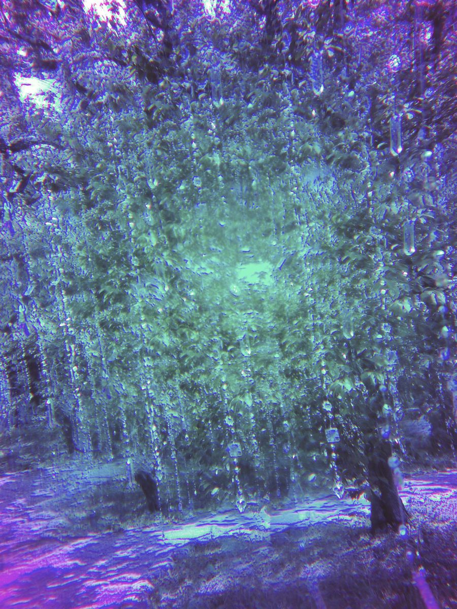 Crystal Rain | GANREF