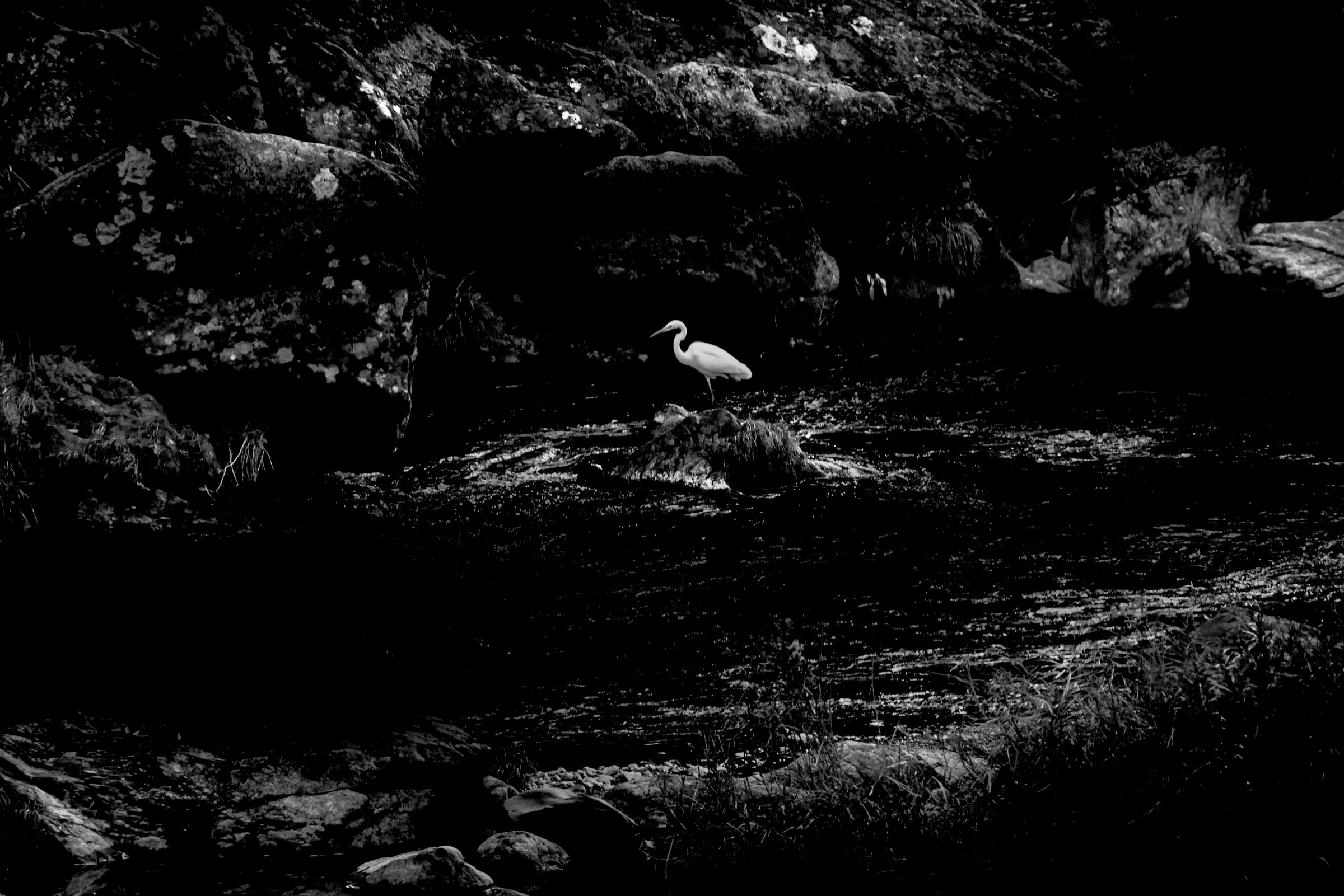 暗い世界 | GANREF