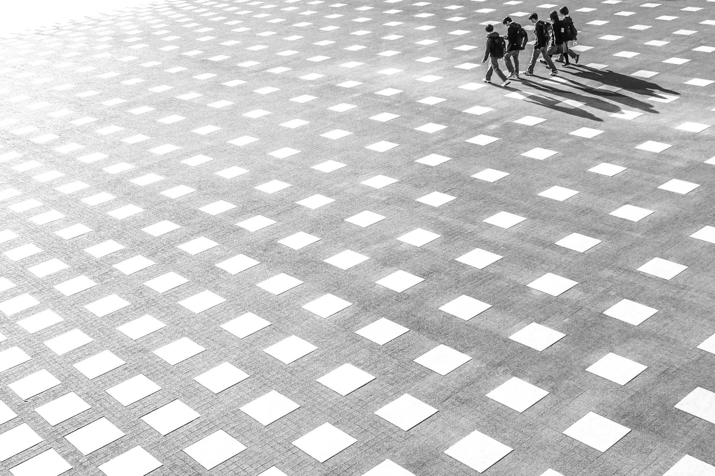 僕たちの道 | GANREF