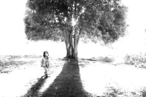 写真像 光のささやき | GANREF