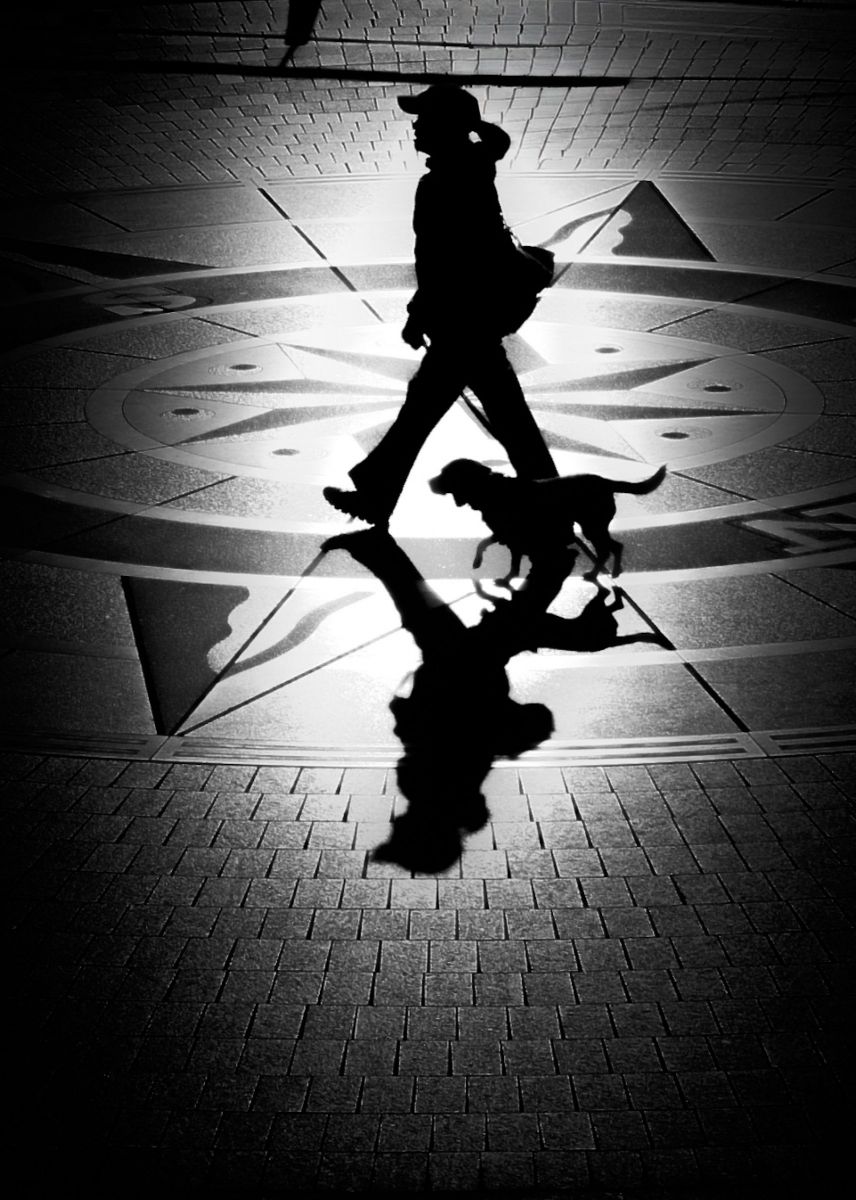 光と影 太陽と影たち | GANREF