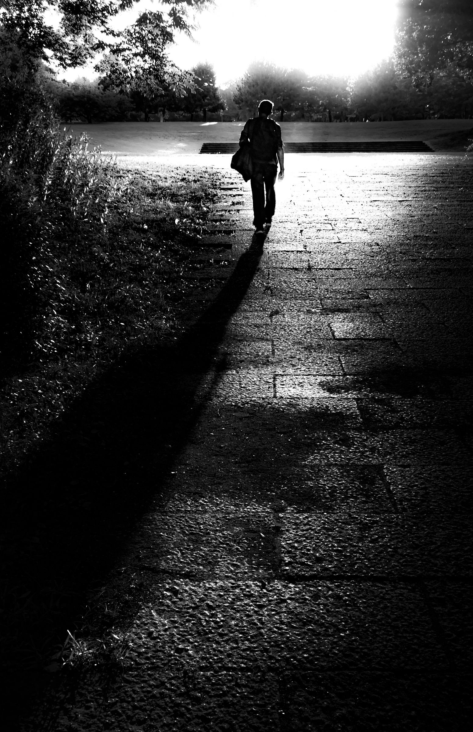 光と影 光と影の道 | GANREF