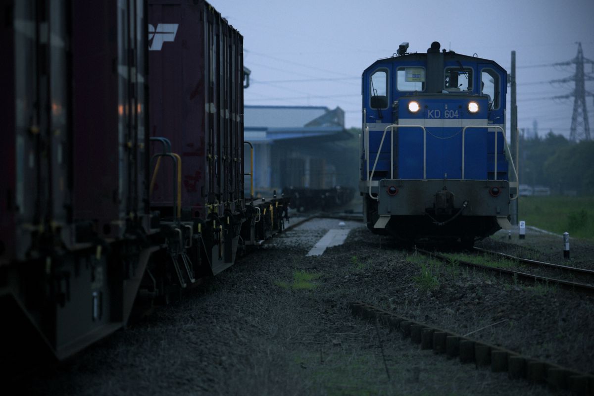 キヤノン EF 80-200mm f2.8 L ズーム レンズ 作例あり EF80-200mm F2.8Lで撮影された写真 | 写真検索 | GANREF