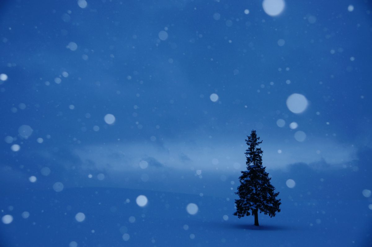 幻想蒼冬 自然 風景 大地 Ganref