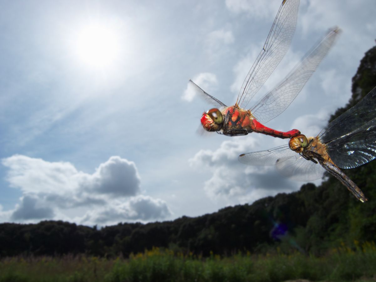 GXR + RICOH LENS S10 24-72mm F2.5-4.4 VCで撮影された写真 | 写真 