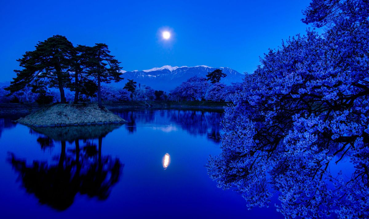 iv.83net.jppurenudisthost|i11pixs.ru 72