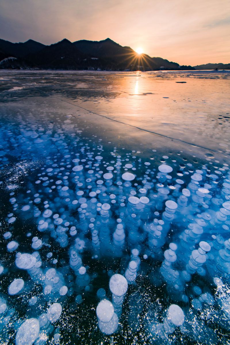 iv.83net.jppurenudisthost|i11pixs.ru 72 のんきぃさんのポートフォリオ | GANREF