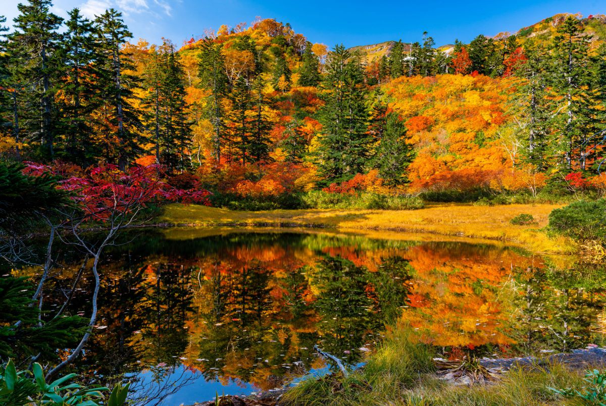 iv.83net.jppurenudisthost|i11pixs.ru 72 のんきぃさんのポートフォリオ | GANREF