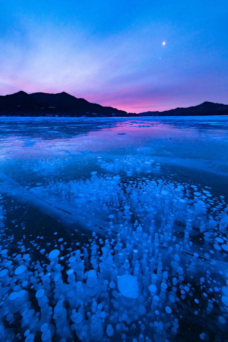 iv.83net.jppurenudisthost|i11pixs.ru 72