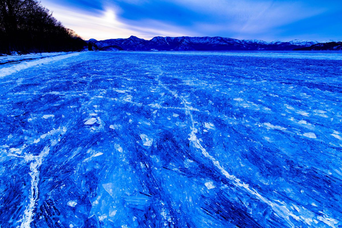 iv.83net.jppurenudisthost|i11pixs.ru 72 のんきぃさんのポートフォリオ | GANREF