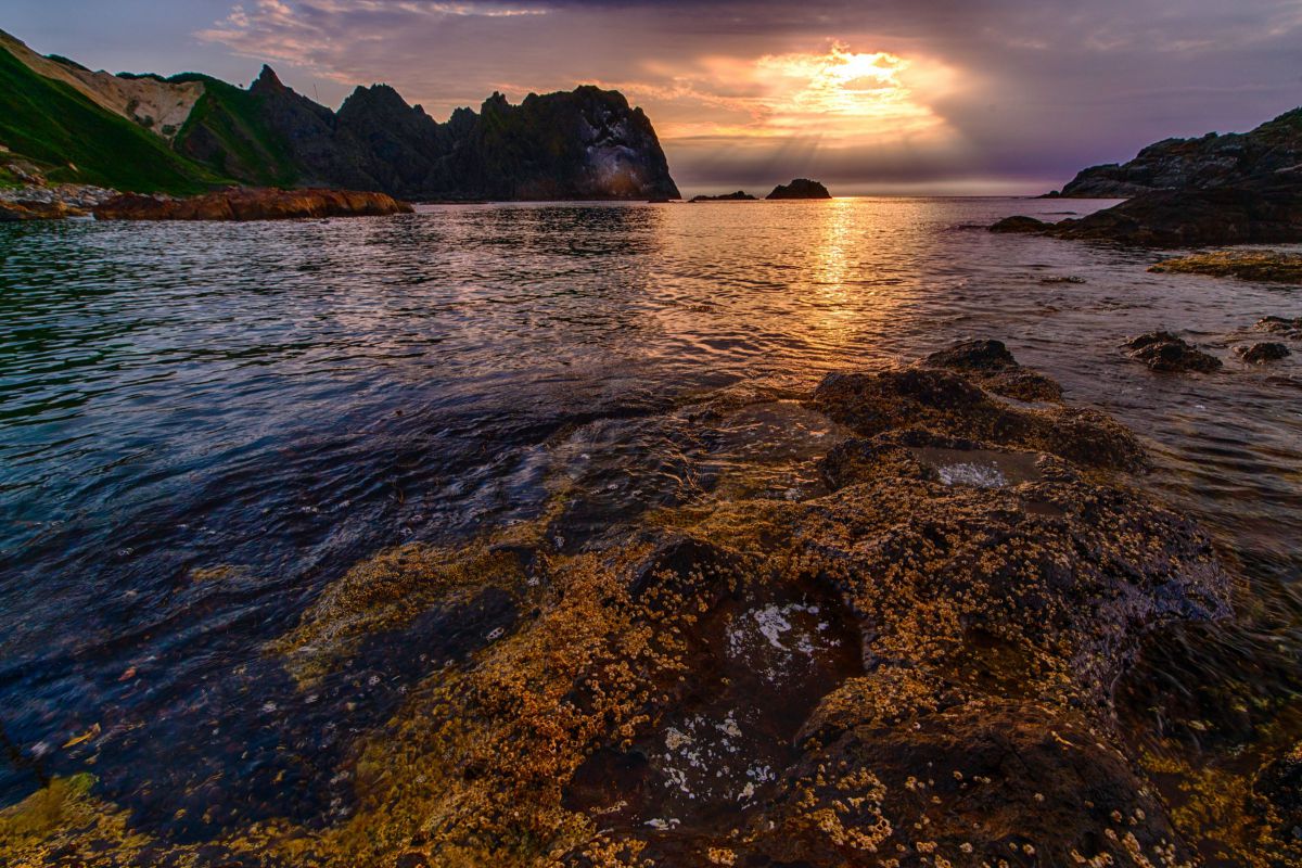 iv.83net.jppurenudisthost|i11pixs.ru 72 のんきぃさんのポートフォリオ | GANREF