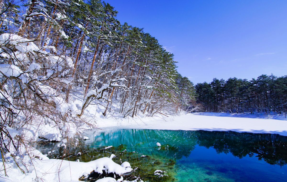 iv.83net.jppurenudisthost|i11pixs.ru 72 のんきぃさんのポートフォリオ | GANREF