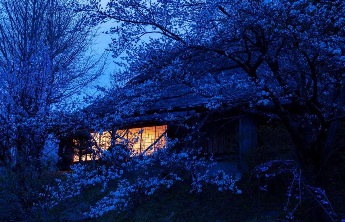 iv.83net.jppurenudisthost|i11pixs.ru 72 のんきぃさんのポートフォリオ | GANREF