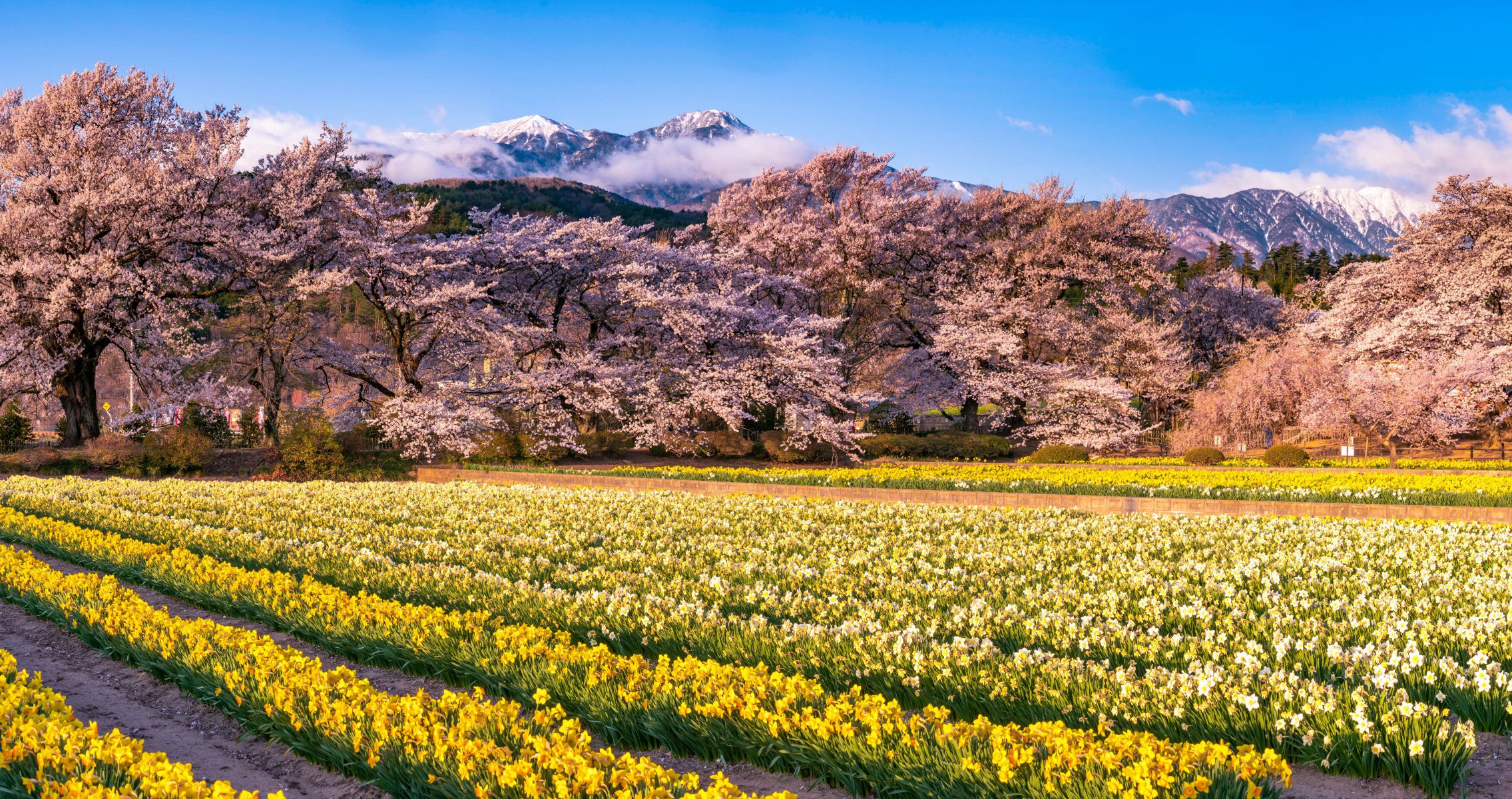 iv.83net.jppurenudisthost|i11pixs.ru 72 のんきぃさんのポートフォリオ | GANREF